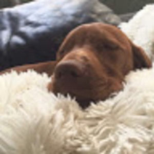 Meet your Posher, Maddie